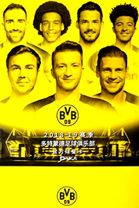 Album Borussia Dortmund 2018-2019
