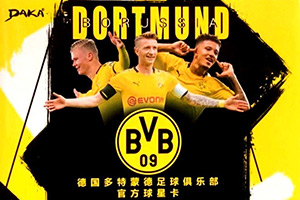 Album Borussia Dortmund 2019-2020
