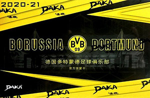 Album Borussia Dortmund 2020-2021

