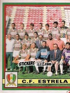 Sticker Team - Futebol 1994-1995 n. 12 - Panini