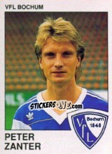 Cromo Peter Zanter - German Football Bundesliga 1989-1990 - Panini