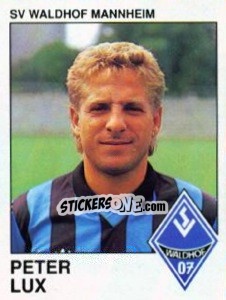 Cromo Peter Lux - German Football Bundesliga 1989-1990 - Panini