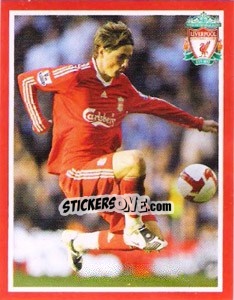 Cromo Fernando Torres - Liverpool FC 2008-2009 - Panini