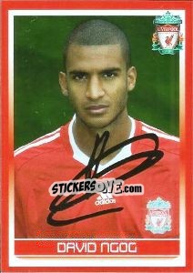 Sticker David N'Gog - Liverpool FC 2008-2009 - Panini