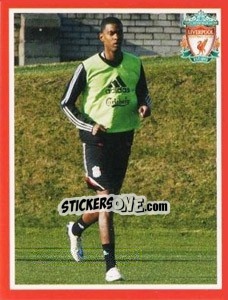 Sticker David N'Gog - Liverpool FC 2008-2009 n. 145 - Panini