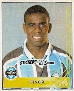 Cromo Tinga - Campeonato Brasileiro 2001 - Panini