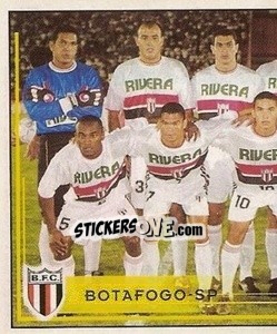 Cromo Equipe de foto - Campeonato Brasileiro 2001 - Panini