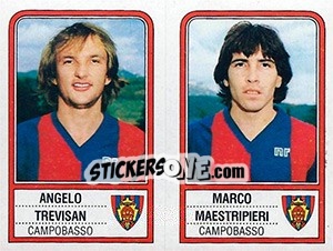 Figurina Angelo Trevisan / Marco Maestripieri - Calciatori 1983-1984 - Panini