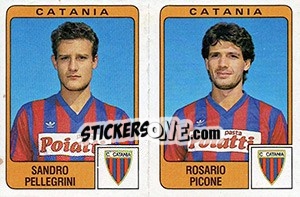 Cromo Sandro Pellegrini / Rosario Picone - Calciatori 1984-1985 - Panini