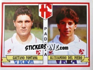 Sticker Gaetano Fontana / Alessandro Del Piero - Calciatori 1992-1993 n. 442 - Panini