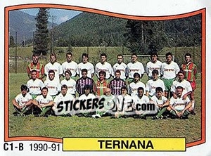 Figurina Squadra Ternana - Calciatori 1990-1991 - Panini