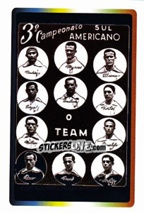 Sticker Brasil 1919 - Brasil - Copa América. Venezuela 2007 - Panini