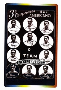 Cromo Brasil 1919 - Brasil - Copa América. Venezuela 2007 - Panini