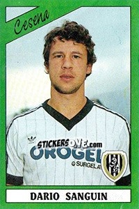 Sticker Dario Sanguin - Calciatori 1987-1988 n. 47 - Panini