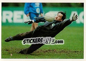 Sticker David Seaman - England 1996 n. 27 - Panini