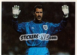 Sticker David Seaman - England 1996 n. 28 - Panini