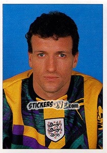 Figurina Tim Flowers - England 1996 - Panini