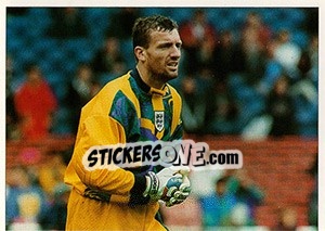 Figurina Tim Flowers - England 1996 - Panini