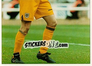 Figurina Tim Flowers - England 1996 - Panini