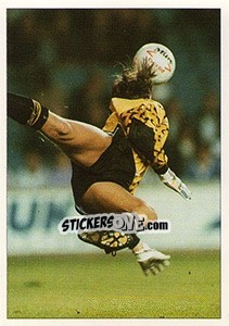 Sticker Ian Walker - England 1996 n. 36 - Panini