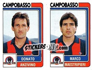 Sticker Donato Anzivino / Marco Maestripieri - Calciatori 1986-1987 - Panini