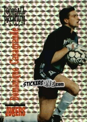 Figurina Dominique Casagrande - U.N.F.P. Football Cards 1994-1995. Premium - Panini