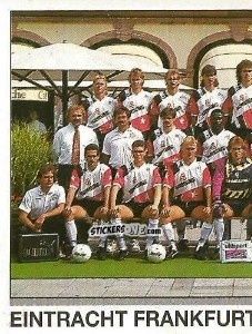 Sticker Team