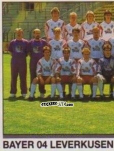 Sticker Team