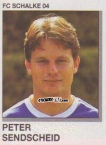 Figurina Peter Sendscheid - German Football Bundesliga 1991-1992 n. 306 - Panini