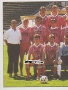 Sticker Team