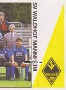 Sticker Team