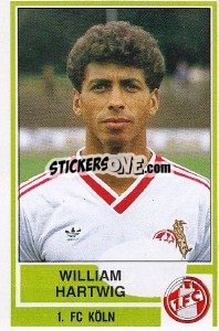 Sticker William Hartwig - German Football Bundesliga 1984-1985 - Panini