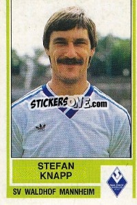 Sticker Stefan Knapp - German Football Bundesliga 1984-1985 - Panini
