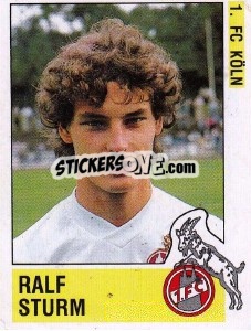 Cromo Ralf Sturm - German Football Bundesliga 1988-1989 - Panini