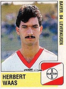 Figurina Herbert Waas - German Football Bundesliga 1988-1989 - Panini