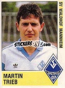 Cromo Martin Trieb - German Football Bundesliga 1988-1989 - Panini