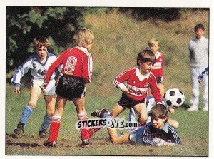 Sticker Star 3 - German Football Bundesliga 1988-1989 - Panini