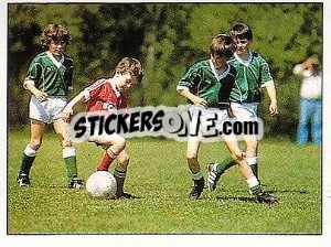 Sticker Star 8 - German Football Bundesliga 1988-1989 - Panini