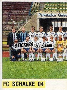 Cromo Mannschaft Schalke 04 - German Football Bundesliga 1988-1989 - Panini