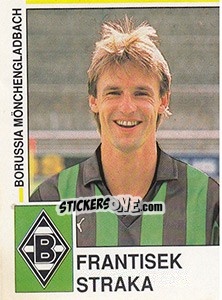 Sticker Frantisek Strata - German Football Bundesliga 1990-1991 n. 196 - Panini