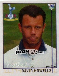 Sticker David Howells - Premier League Inglese 1995-1996 - Merlin