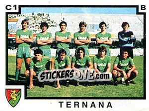 Sticker Squadra Ternana