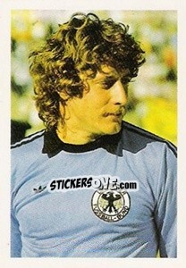 Cromo Harald Schumacher - Euro 1984 - Disvenda