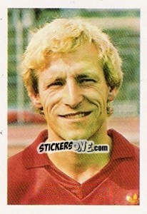 Figurina Michel Dewolf - Euro 1984 n. 29 - Disvenda