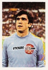 Sticker Luis Miguel Arconada - Euro 1984 n. 66 - Disvenda