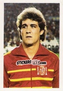 Sticker Hipólito Rincon - Euro 1984 - Disvenda