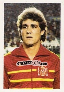 Sticker Hipólito Rincon - Euro 1984 n. 79 - Disvenda
