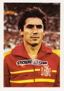 Sticker Carlos Alonso 