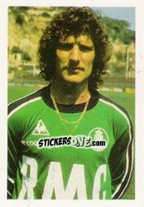 Sticker Jean Luc Ettori - Euro 1984 - Disvenda