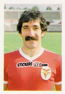 Cromo Fernando Albino de Sousa Chalana - Euro 1984 n. 110 - Disvenda